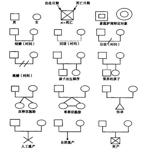 家庭關係圖畫法|家庭关系图怎么画？教你简单梳理家庭成员关系